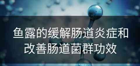 鱼露的缓解肠道炎症和改善肠道菌群功效